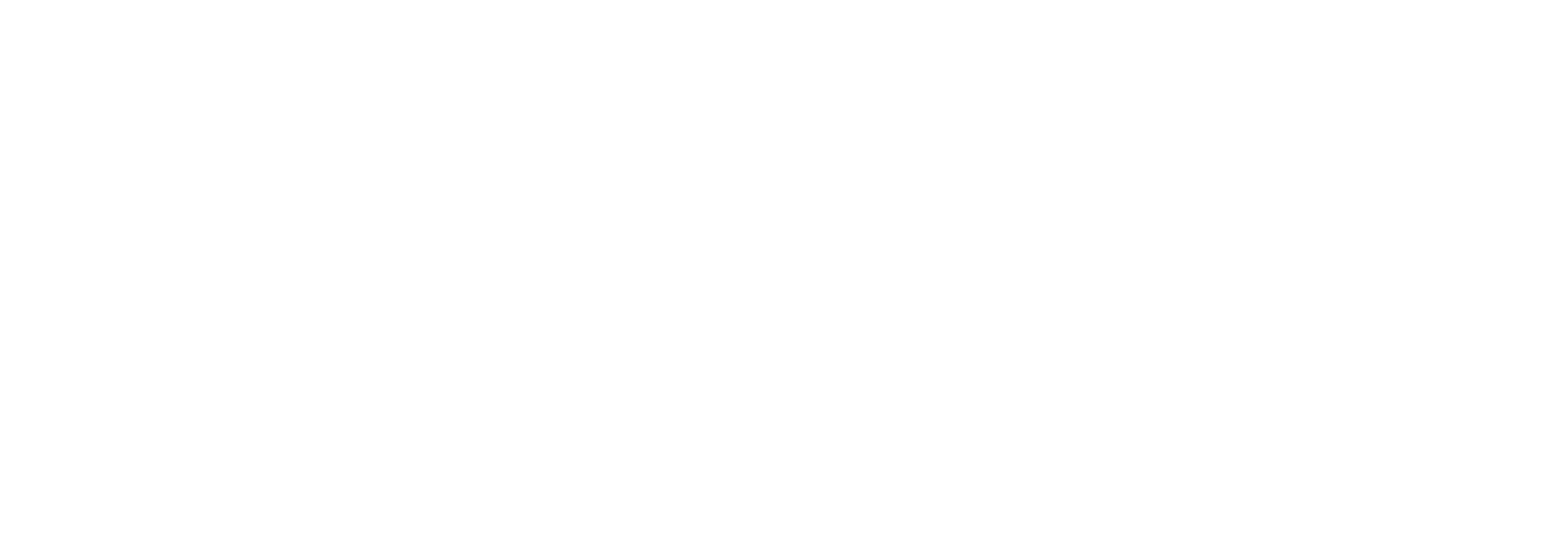 TINE Logo